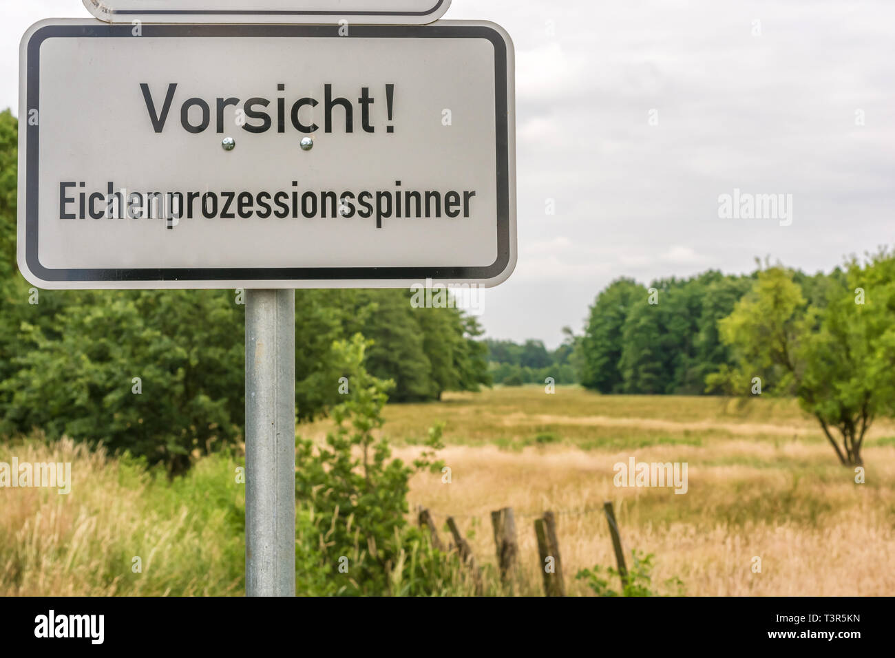 Segnaletica di pericolo con la parola tedesca per la processione di quercia spinner nella parte anteriore del bellissimo paesaggio Foto Stock