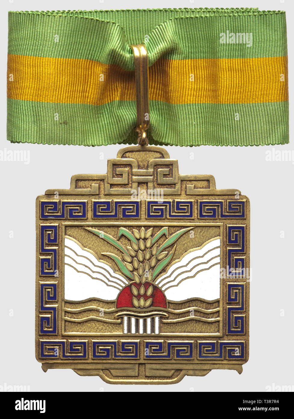 Ordre du Mérite Agricole, créé en 1936, commandeur, diamètre 61 x 71mm, en bronzo, Additional-Rights-Clearance-Info-Not-Available Foto Stock