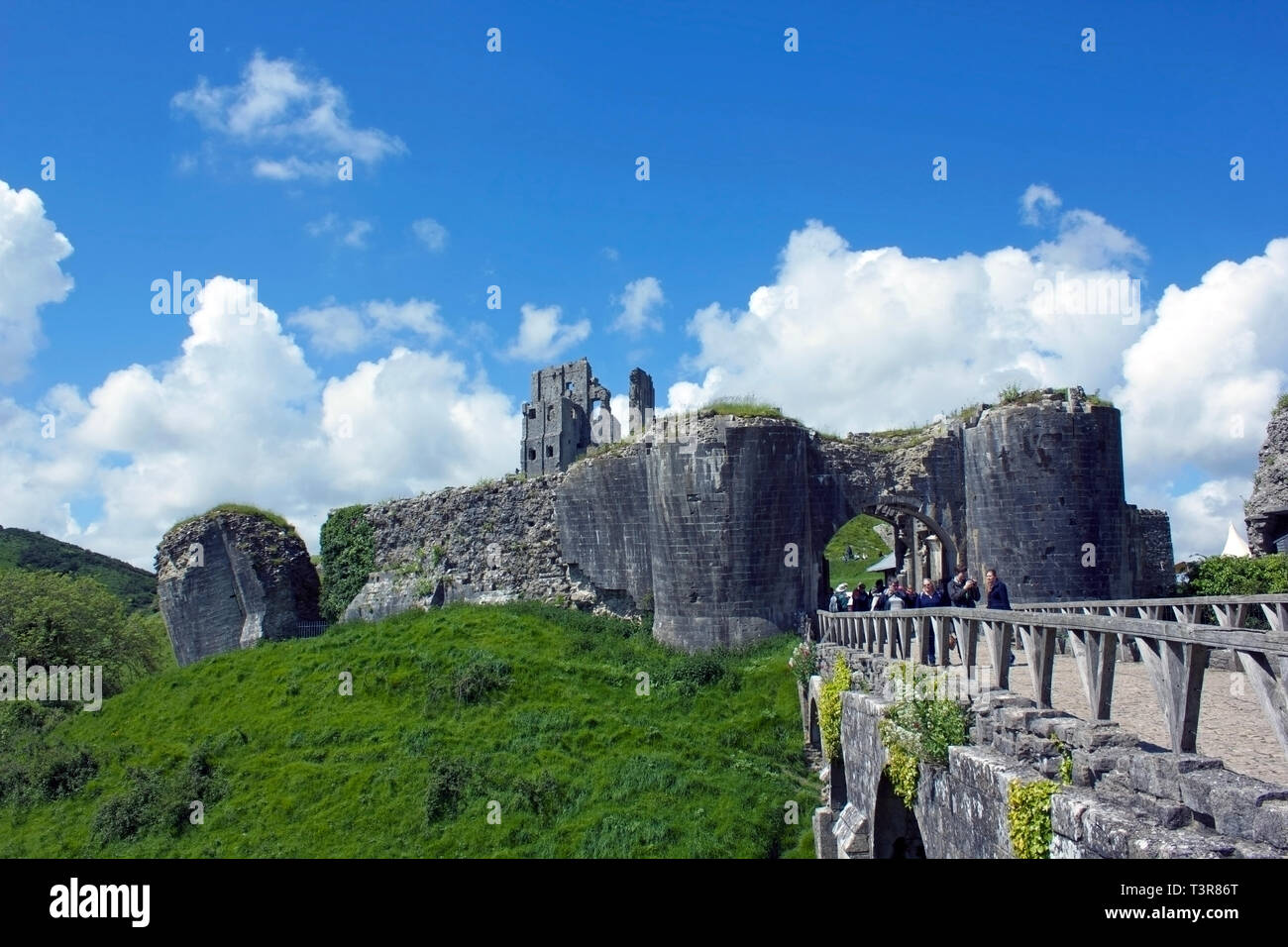 Corfe Castle su una giornata d'estate in Dorset, Regno Unito. Foto Stock