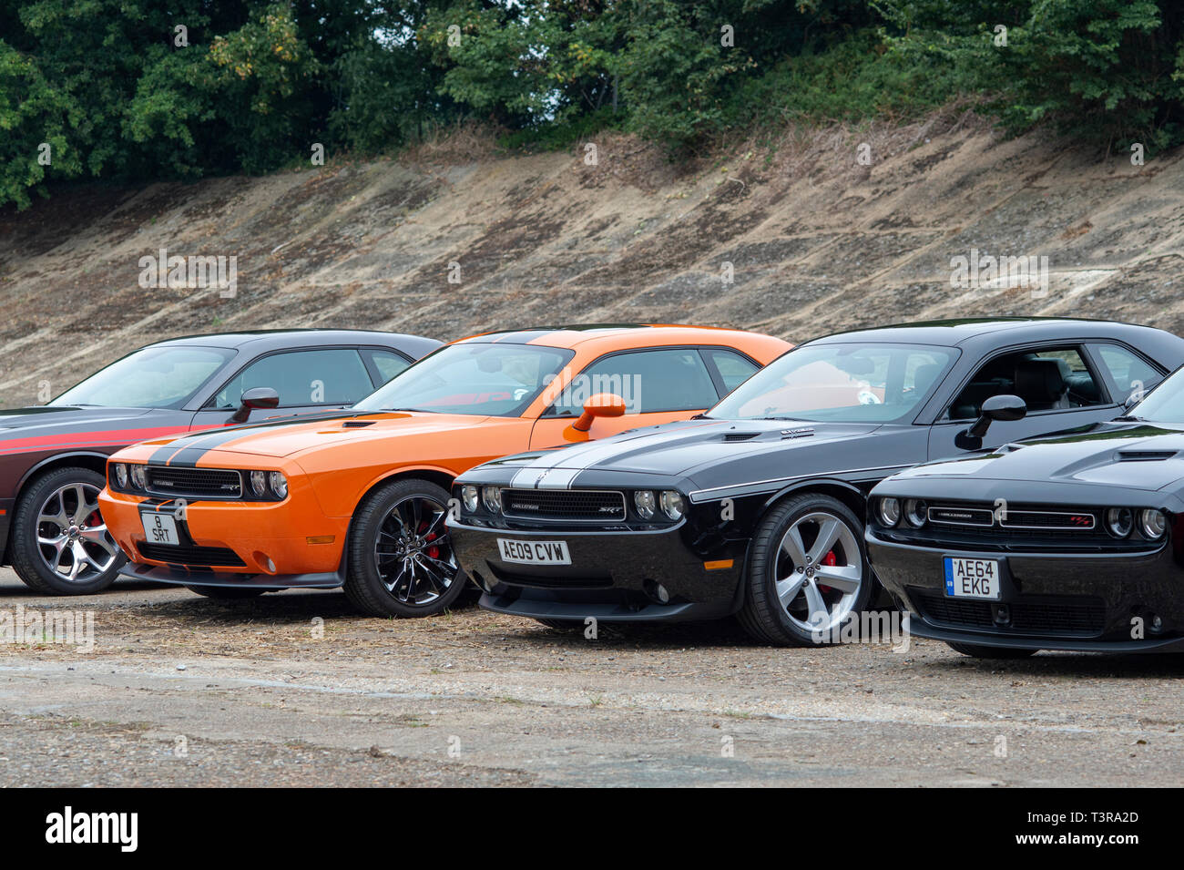 Dodge Challenger SRT vetture a Brooklands, Weybridge, Surrey, Inghilterra Foto Stock