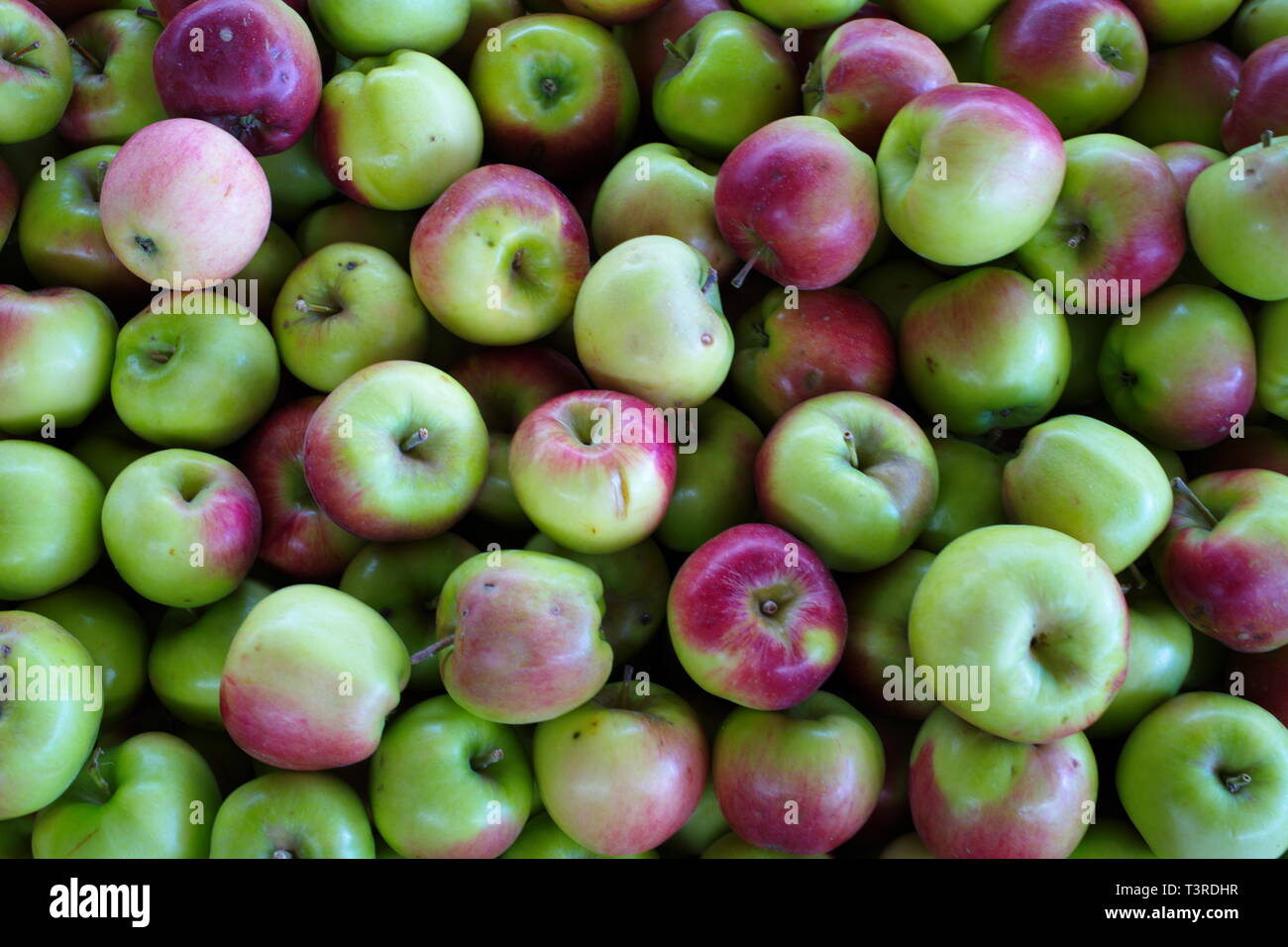 Pezzata di Rosso mela acerba. frutta mela acerba pila venduti nel mercato. sfondo di frutta Foto Stock