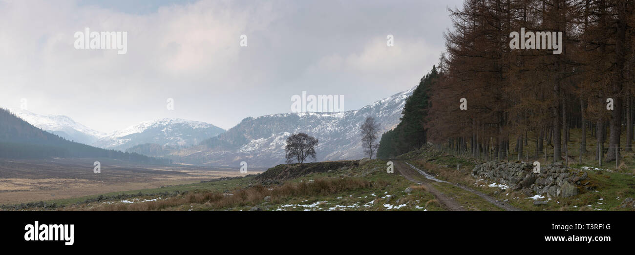 Guardando verso Felagie & Carn nan Sgliat da Middleton di Aberarder nel Parco Nazionale di Cairngorms, Scozia. Foto Stock