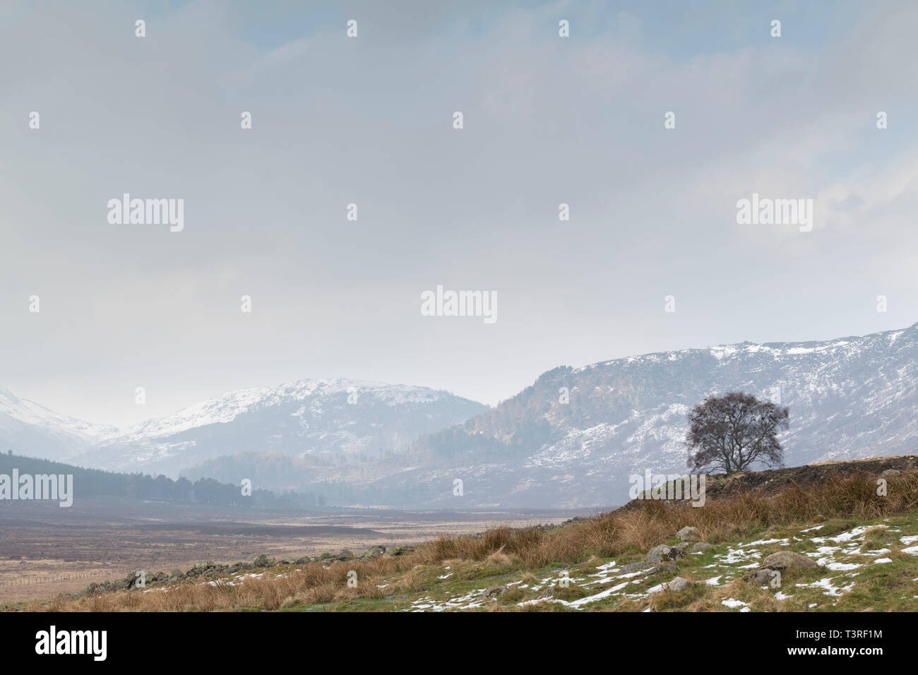 Guardando verso Felagie & Carn nan Sgliat da Middleton di Aberarder nel Parco Nazionale di Cairngorms, Scozia. Foto Stock