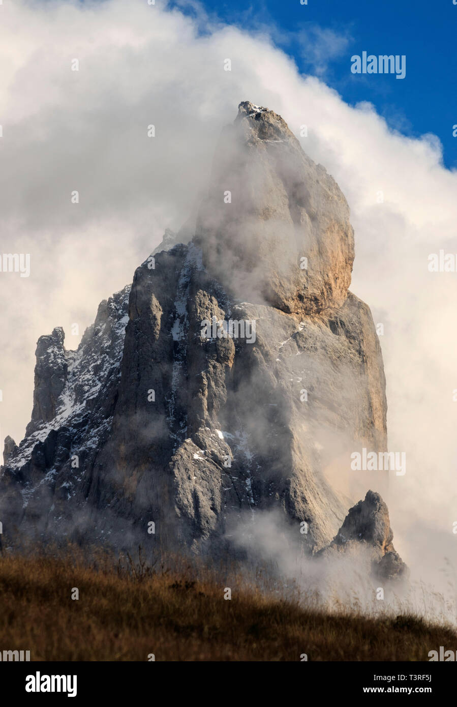 Il Cimon (letteralmente, grande vertice) della pala è la più famosa di picco il gruppo delle Pale di San Martino nelle Dolomiti, Italia. Per la sua particolare shap Foto Stock