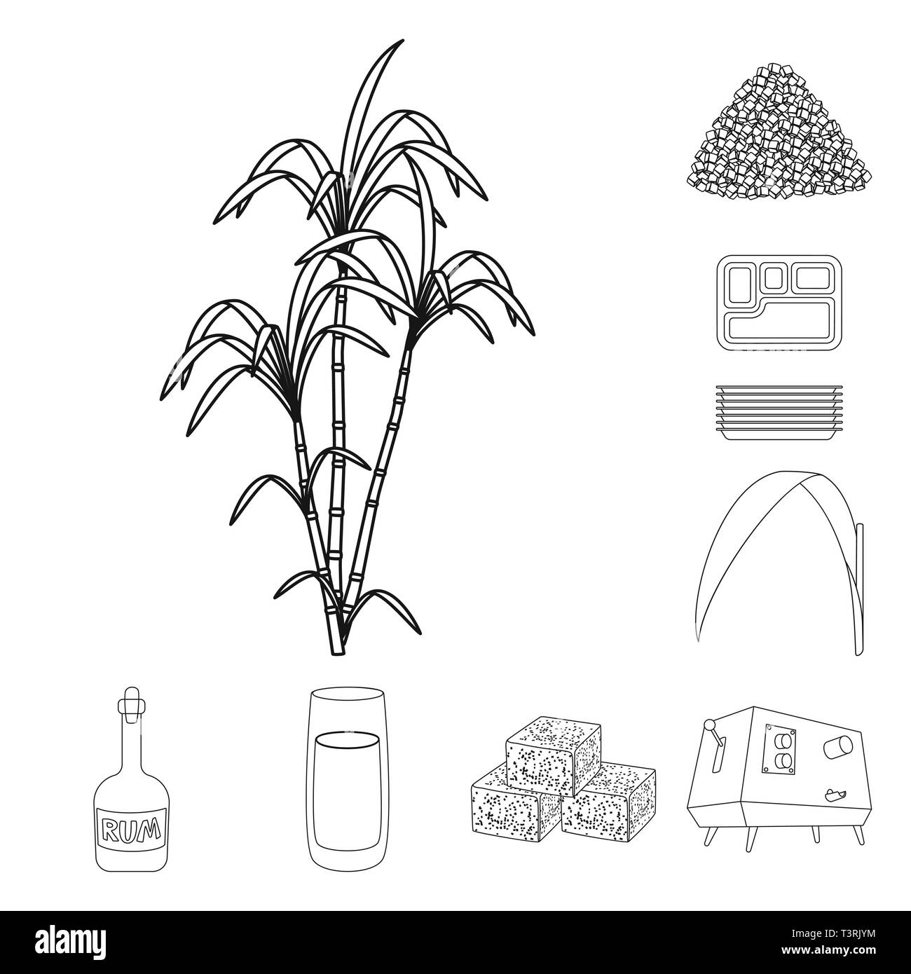 Bush,pezzo,cartone,foglie,rum,succhi di frutta,cube,spremiagrumi,palm,granulata,contenitore,verde,bottiglia,cibo,macchina,pilastro,blocco,pack,capacità,bere,Piazze,APPARECCHIATURA,l'india,storage,eco,bar,vitamine,dolcezza,zucchero,campo,impianto,plantation,agriturismo,l'agricoltura,saccarosio,technology,la canna da zucchero, la canna da zucchero,impostare,vettore,icona,immagine,isolato,raccolta,design,l'elemento,graphic,segno,contorno,linea vettori vettore , Illustrazione Vettoriale