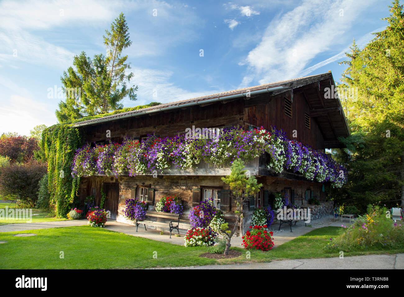 In legno Chalet Alpina Cottage coperto di fiori d'estate. Foto Stock