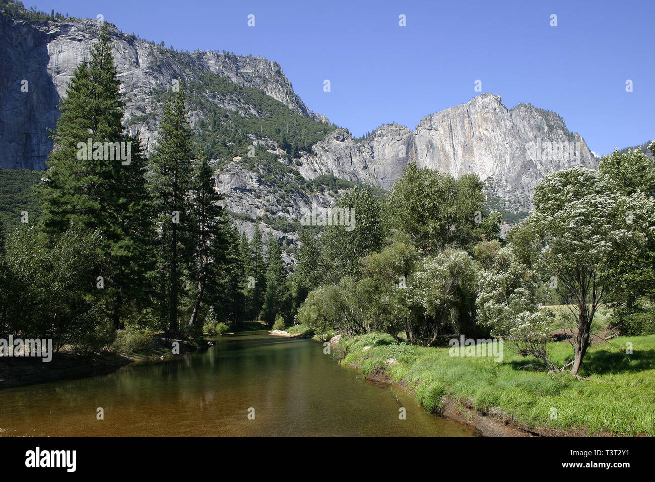 Vista del Parco Nazionale di Yosemite Foto Stock
