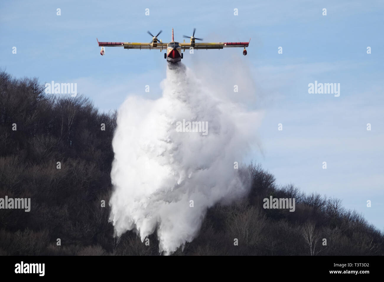 Canadair, Forest Fire, acqua bombardiere, wildfire, di spegnere un incendio, Foto Stock