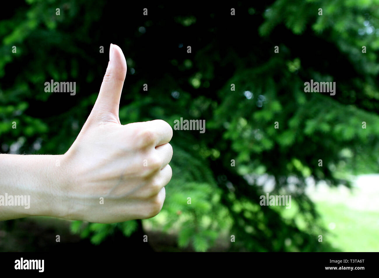 Segnali a mano.pollice in su. Positivo. Mi piace. Foto Stock