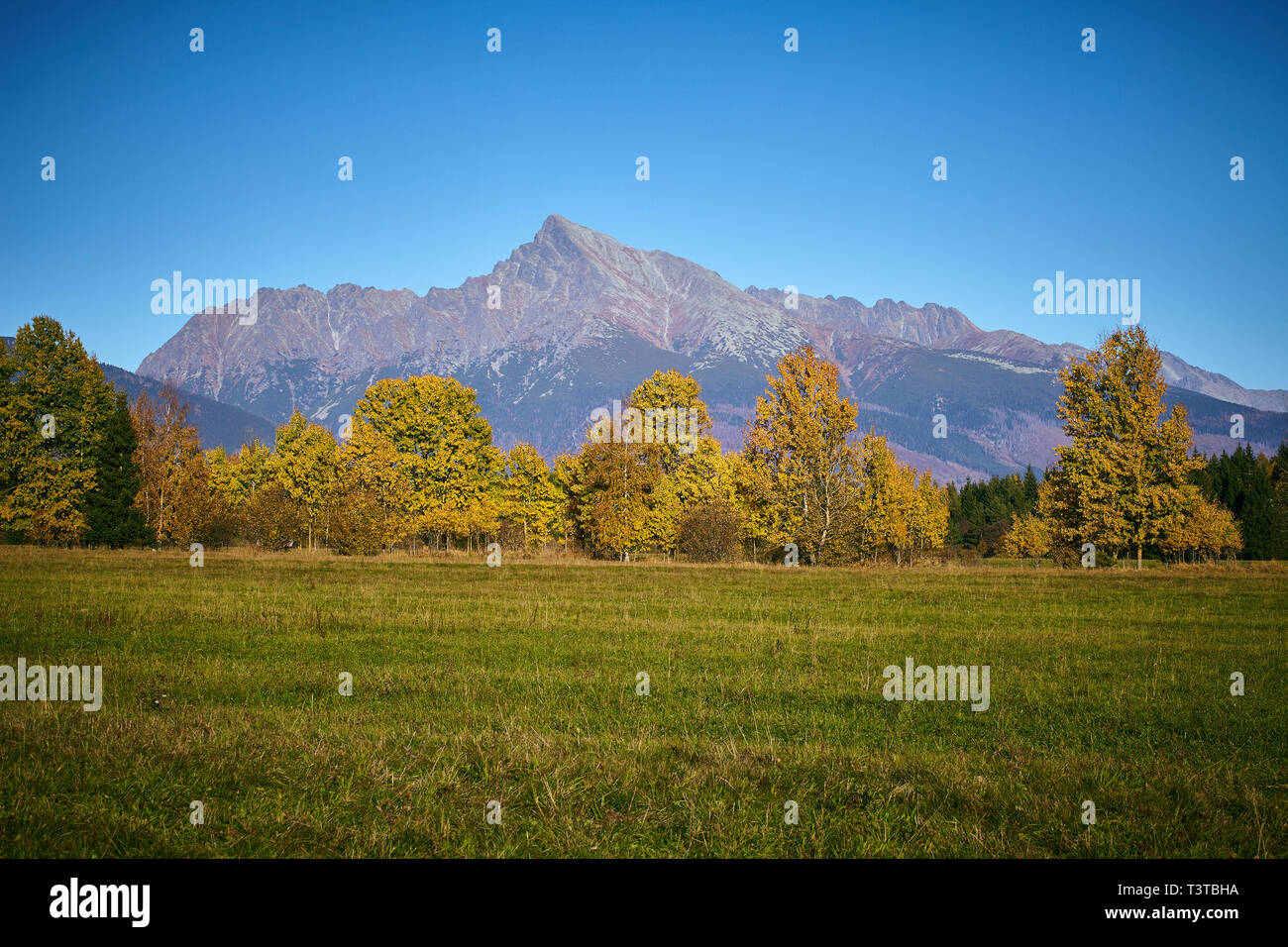 Alti Tatra, Slovacchia. 13 ottobre, 2018. Vista di 'Kriváň' peak da prati vicino al villaggio Pribilina, Alti Tatra, Slovacchia. Foto Stock