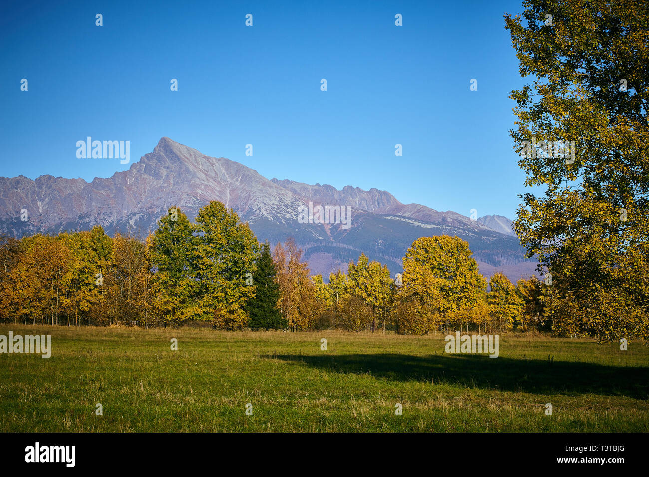 Alti Tatra, Slovacchia. 13 ottobre, 2018. Vista di 'Kriváň' peak da prati vicino al villaggio Pribilina, Alti Tatra, Slovacchia. Foto Stock