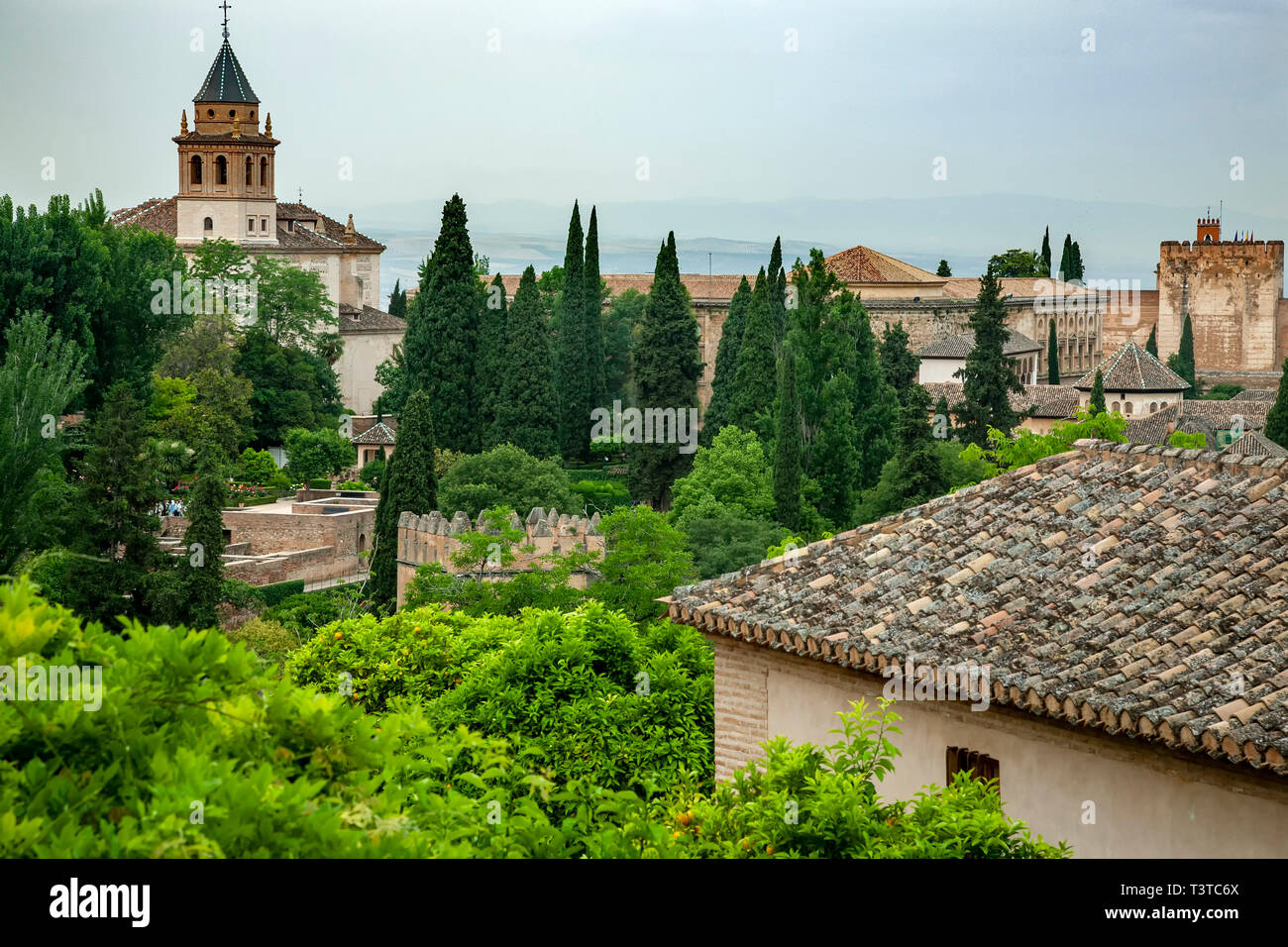 L'Alhambra da El Generalife (residenza estiva), Granada, Spagna Foto Stock