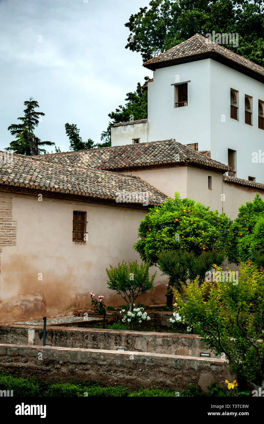 El Generalife (residenza estiva), l'Alhambra di Granada, Spagna Foto Stock