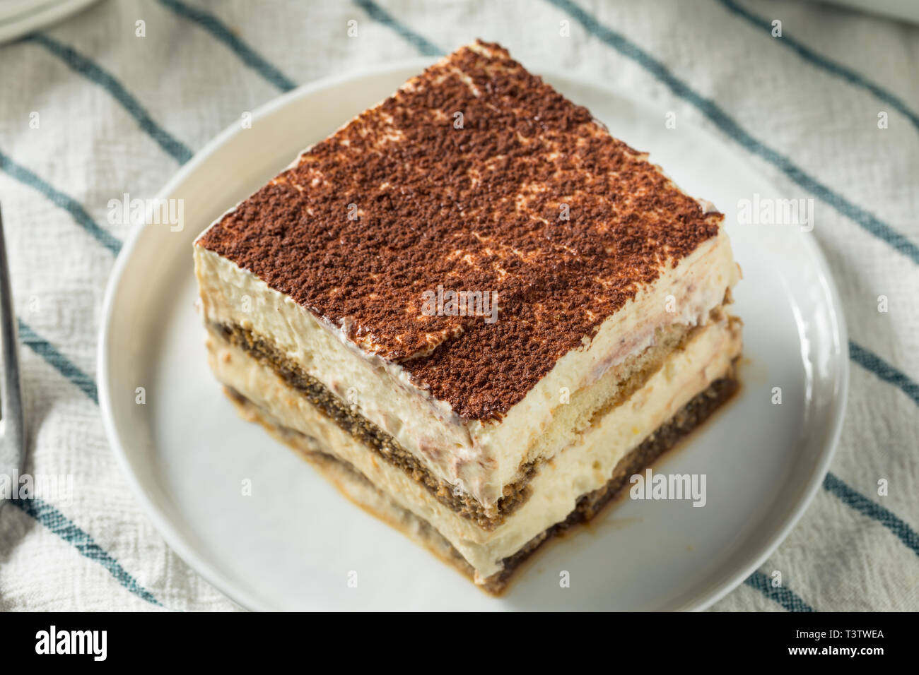 Dolce casalingo italiano dessert Tiramisu con polvere di cacao Foto Stock