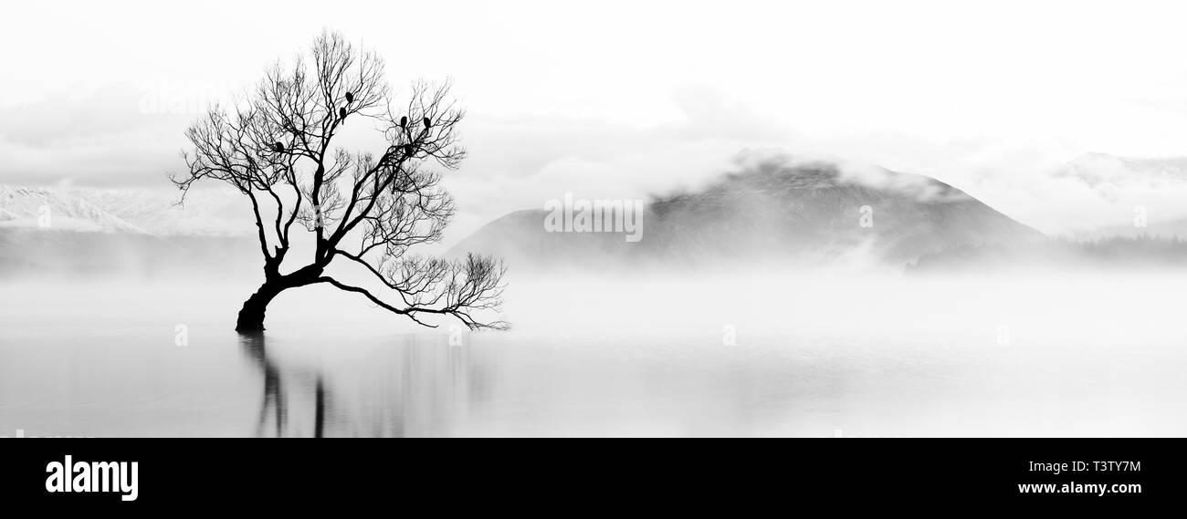 Nuova Zelanda Otago, il lago Wanaka. Mist rising all alba di una mattina di autunno a Wanaka ad albero sul Lago Wanaka. Foto Stock
