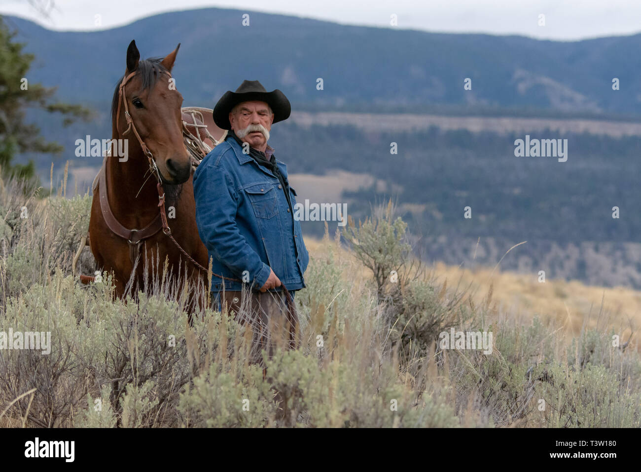 American cowboy e cavallo sondaggio la terra Foto Stock