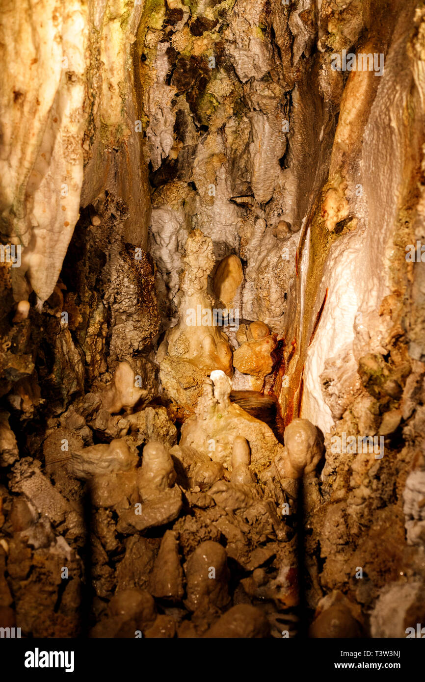 Molte stalagmiti in una grotta Foto Stock