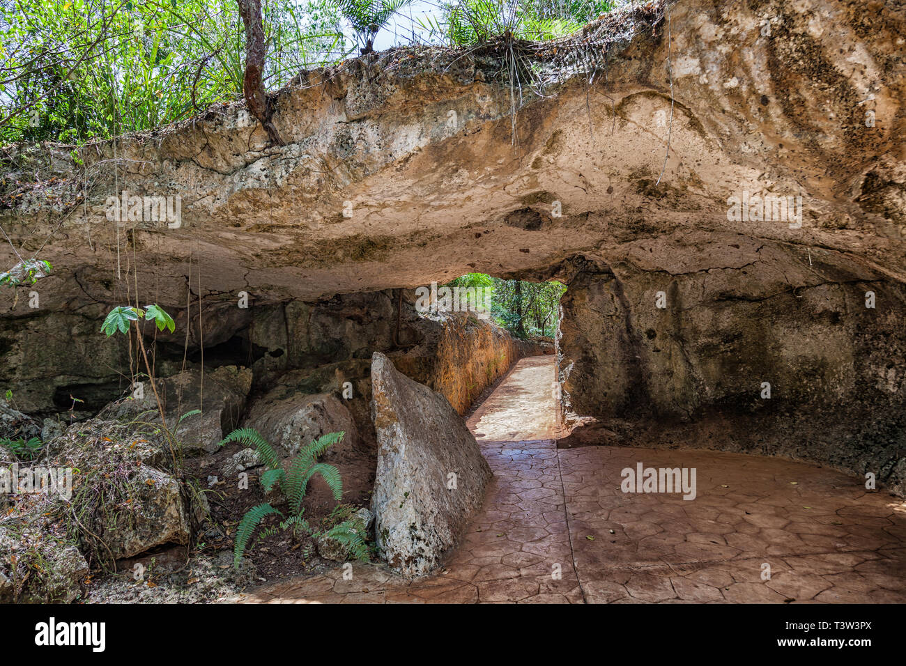 L'ingresso alla Grotta dei miracoli nella Repubblica Dominicana Foto Stock