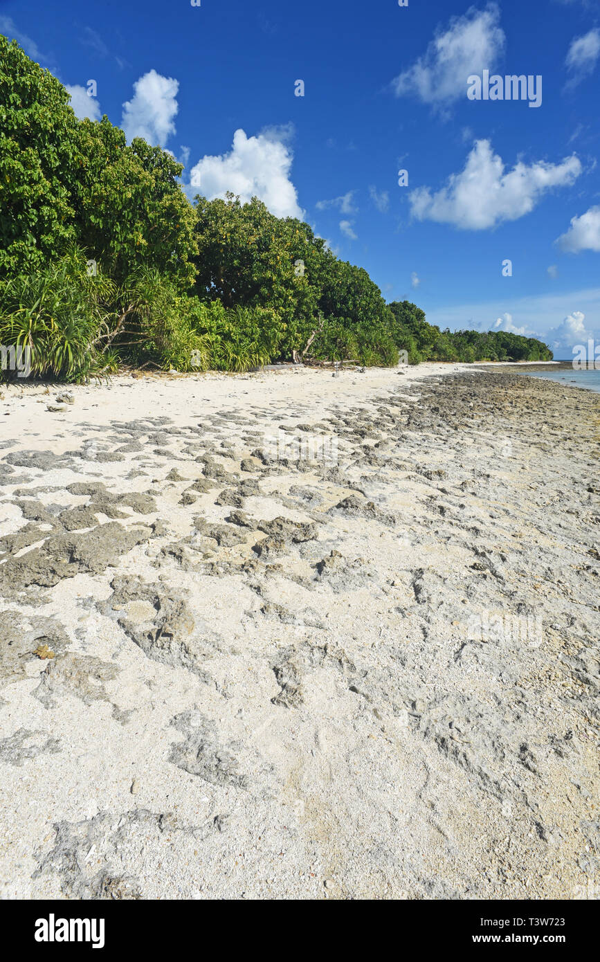 Kaiji sulla spiaggia di Isola di Taketomi nelle isole Yaeyama di Okinawa, famosa per la sua sabbia a stella o hoshizuna. Foto Stock