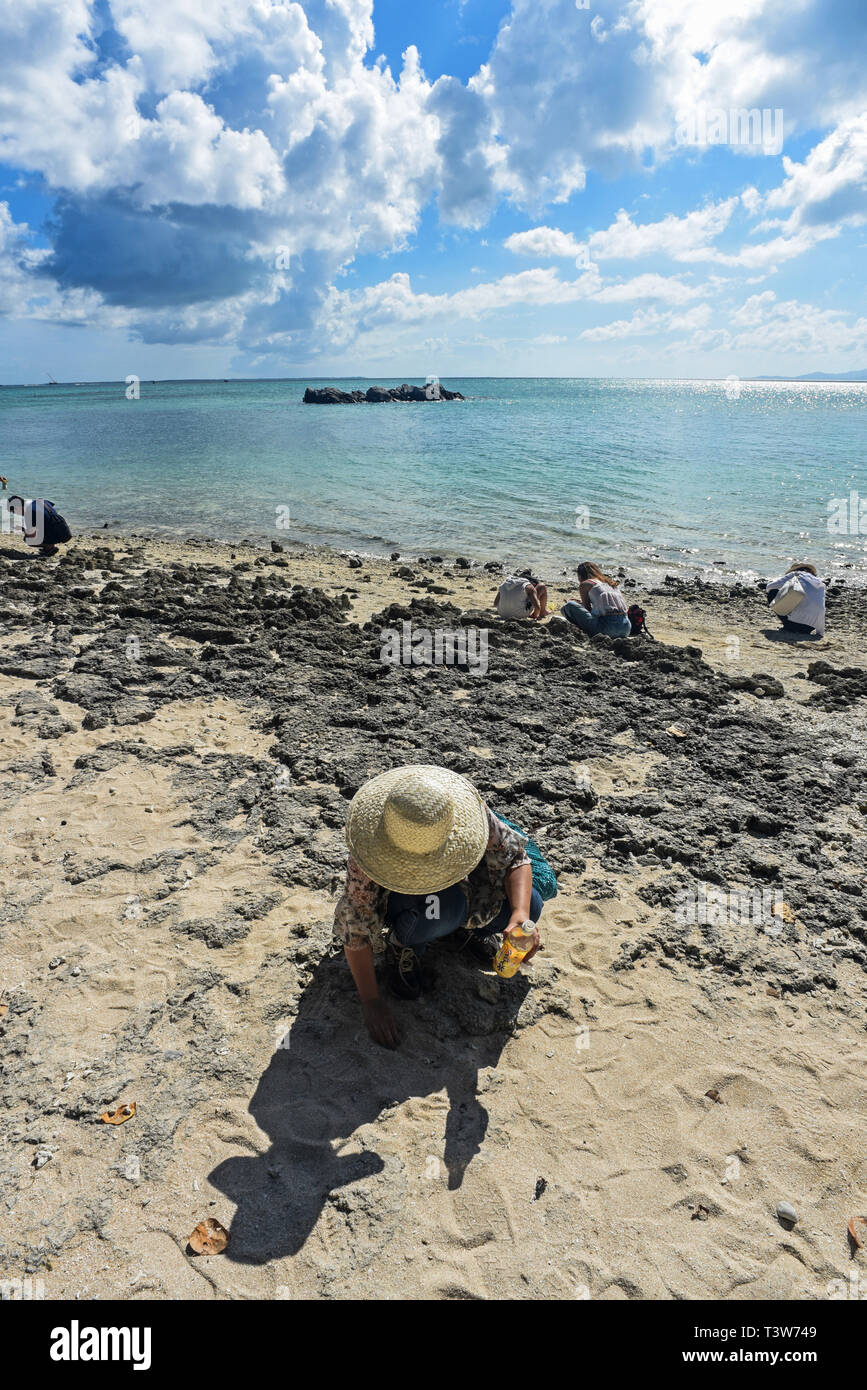 Kaiji sulla spiaggia di Isola di Taketomi nelle isole Yaeyama di Okinawa, famosa per la sua sabbia a stella o hoshizuna. Foto Stock