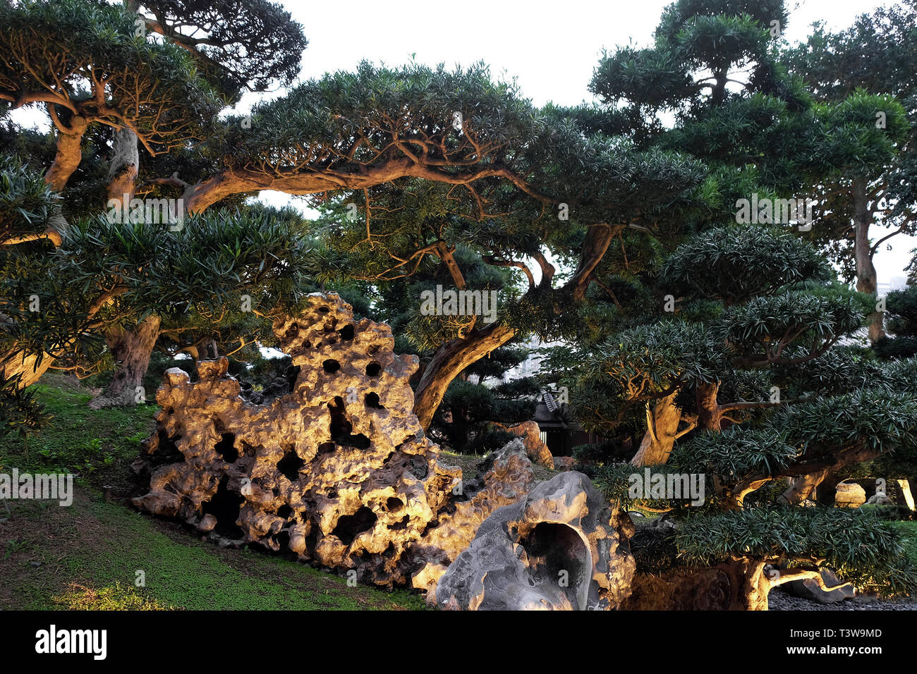 Bellissimi alberi e rocce a Nam Lian giardino in Hong Kong Foto Stock