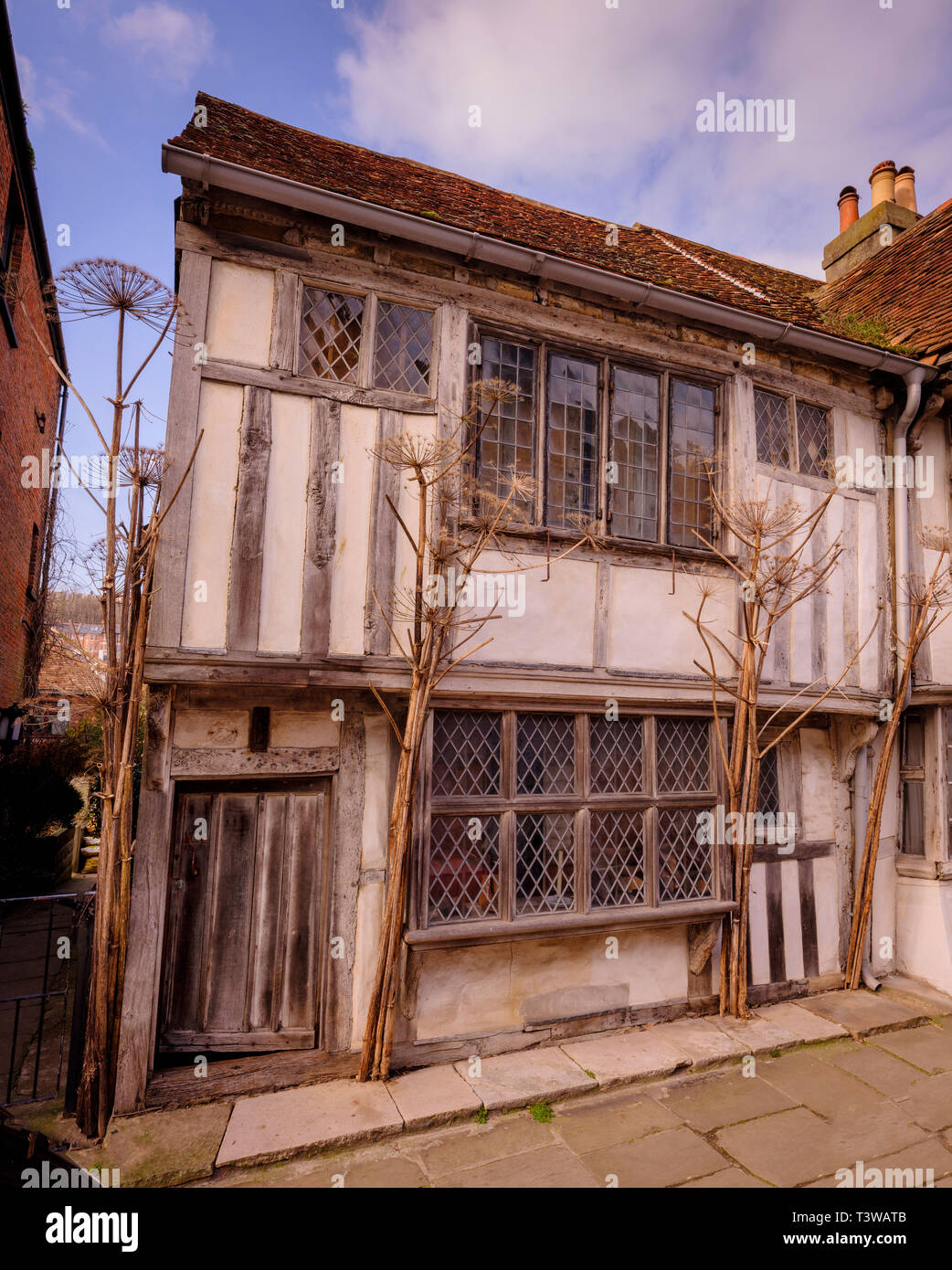 Alastair Hendy e il suo restaurato in stile tudor casa nella città vecchia Hastings, East Sussex Regno Unito. Foto Stock