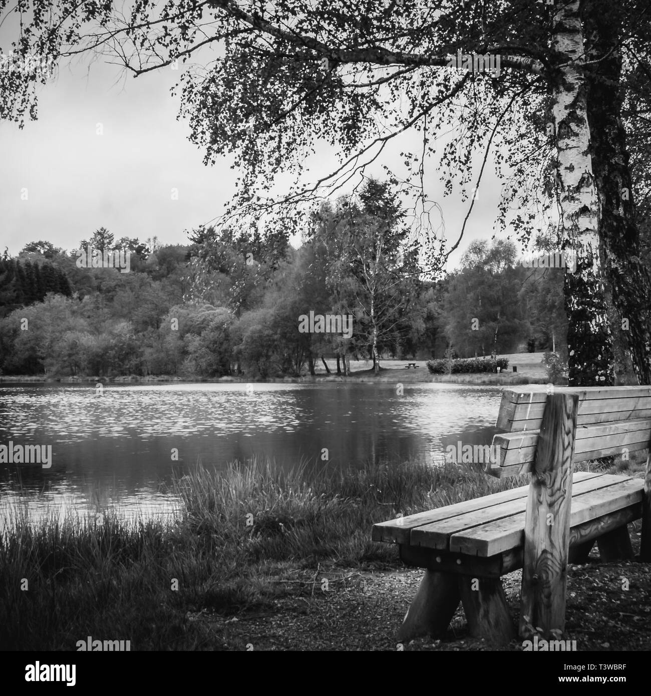 Banco a lago di Sauviat in bianco e nero, campagna francese Foto Stock