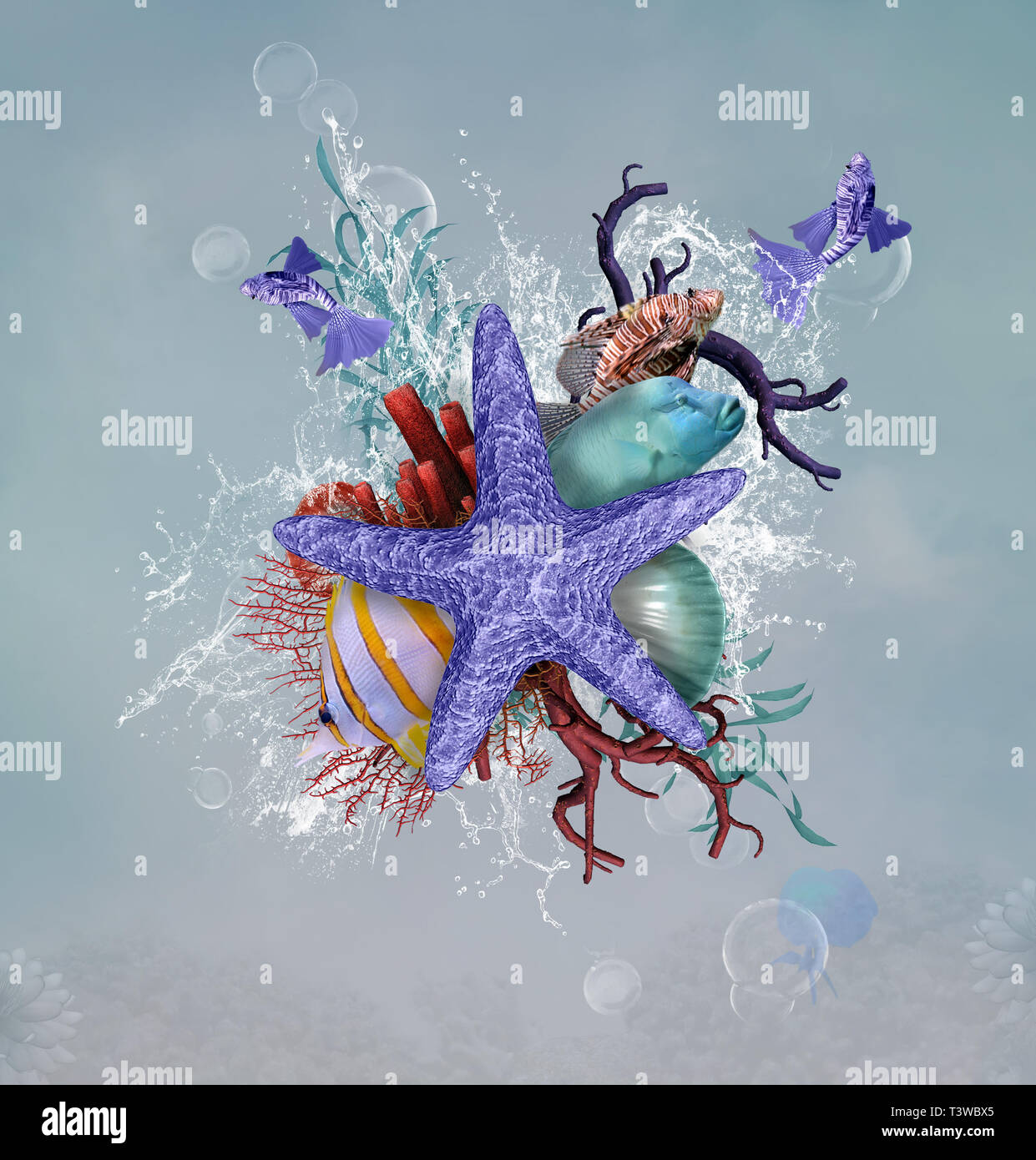 Composizione estiva con coralli, stella di mare e diversi tipi di pesce Foto Stock