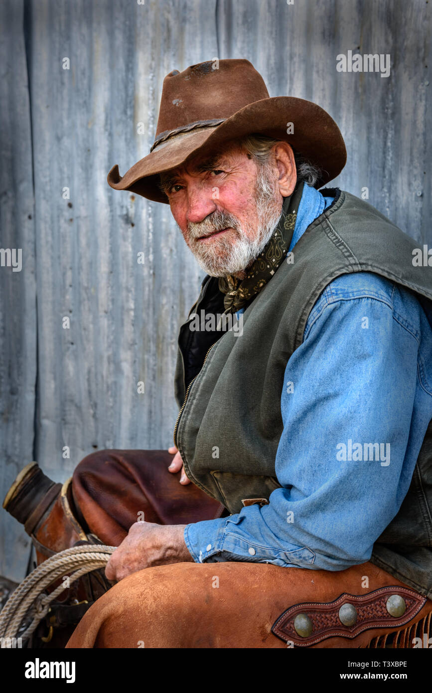 Il vecchio cowboy con barba grigia indossa Cappello in cuoio, pelle Chaps,  e trattiene un lazo e è seduto con una sella in cuoio Foto stock - Alamy