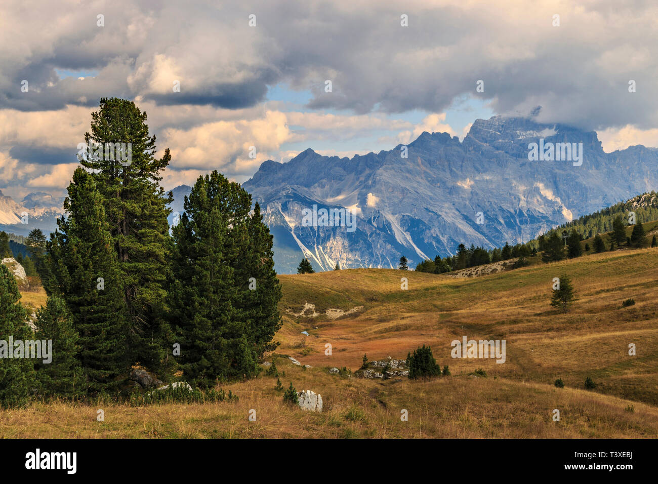 Una vista dal Passo Falzarego, una alta altitudine strada passo che collega la Val Badia a Cortina d'Ampezzo nelle Dolomiti, Italia. Le praterie a passare con Foto Stock