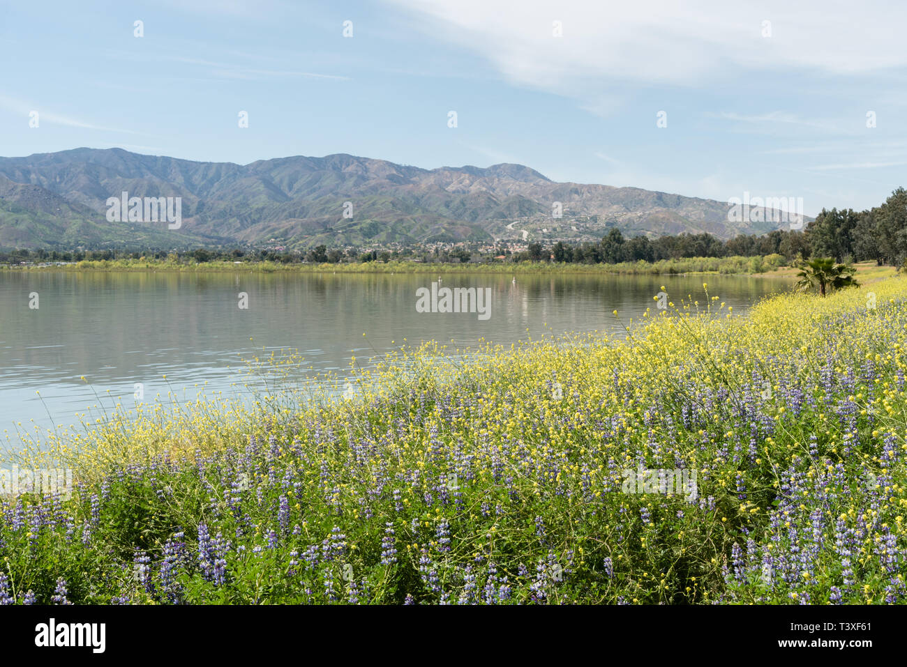 Il bel lago Elsinore vista in primavera, la California del Sud Foto Stock