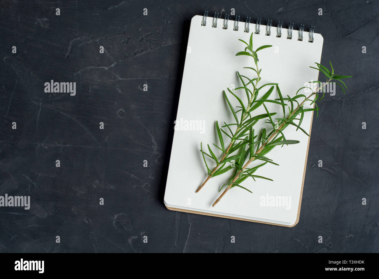 Blank notepad per ricette e rametti di rosmarino fresco su calcestruzzo scuro dello sfondo. Concetto culinario. Copia spazio per voi il testo. Lay piatto. Foto Stock