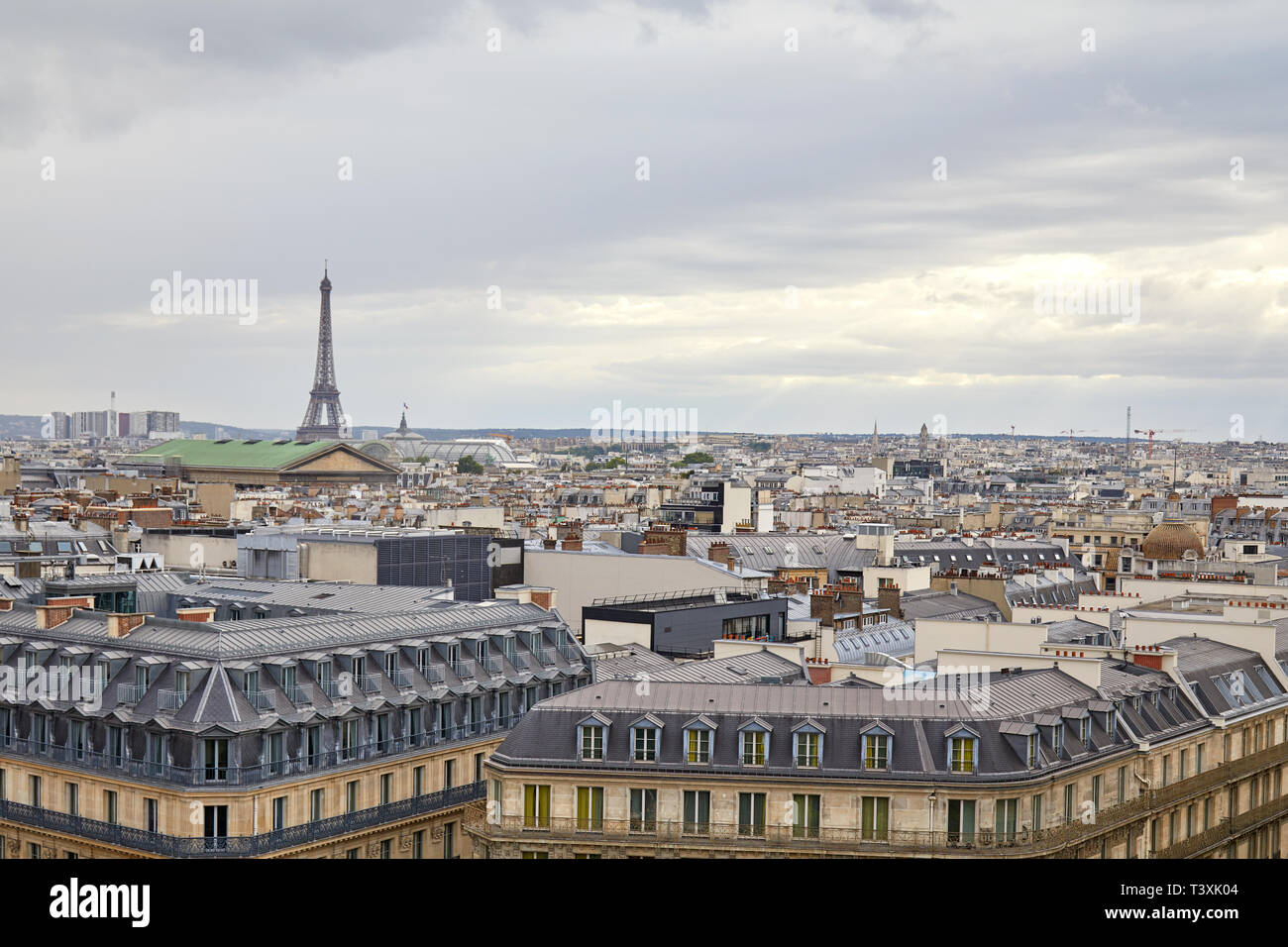 Tetti di Parigi e vista Torre Eiffel in una giornata nuvolosa in Francia Foto Stock