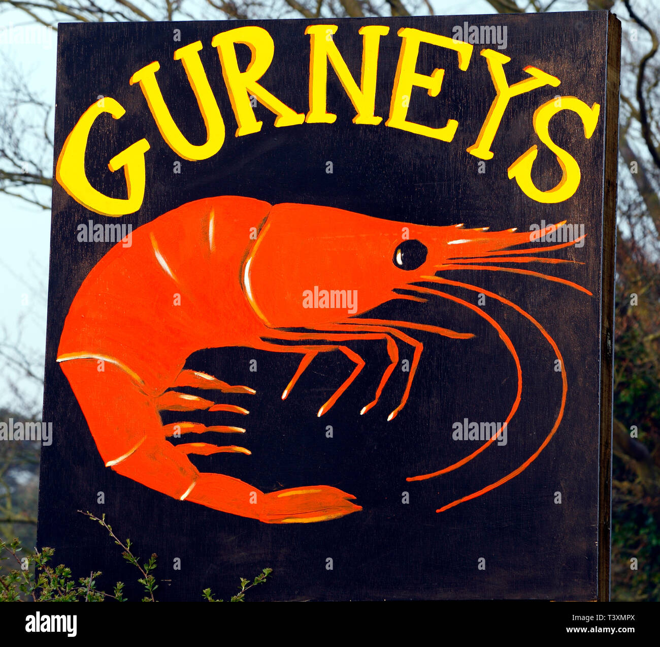 Gurneys, frutti di mare, shop, segno, i gamberetti, ha spinto i frutteti Farmshop, Thornham, Norfolk, Regno Unito Foto Stock