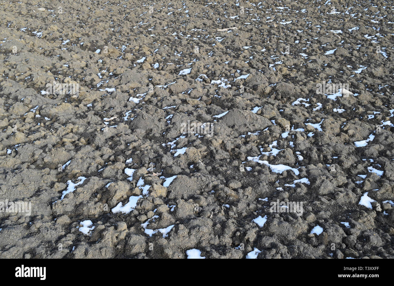 La fusione della neve sul terreno arato. Vista la molla del campo arato. Foto Stock