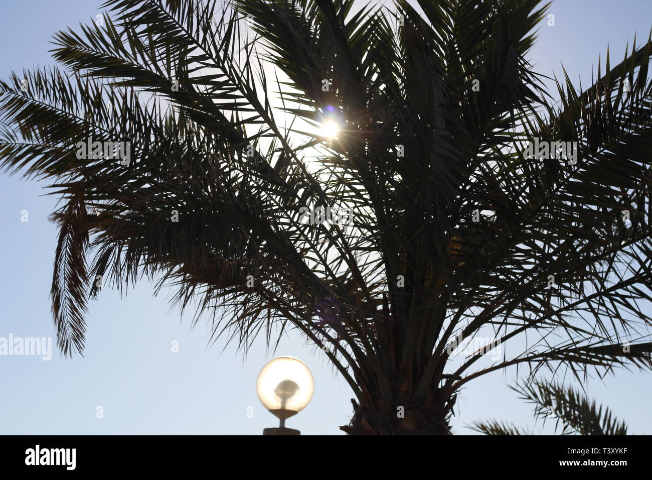 Kuwait la bellezza della natura di giorno e di notte Foto Stock