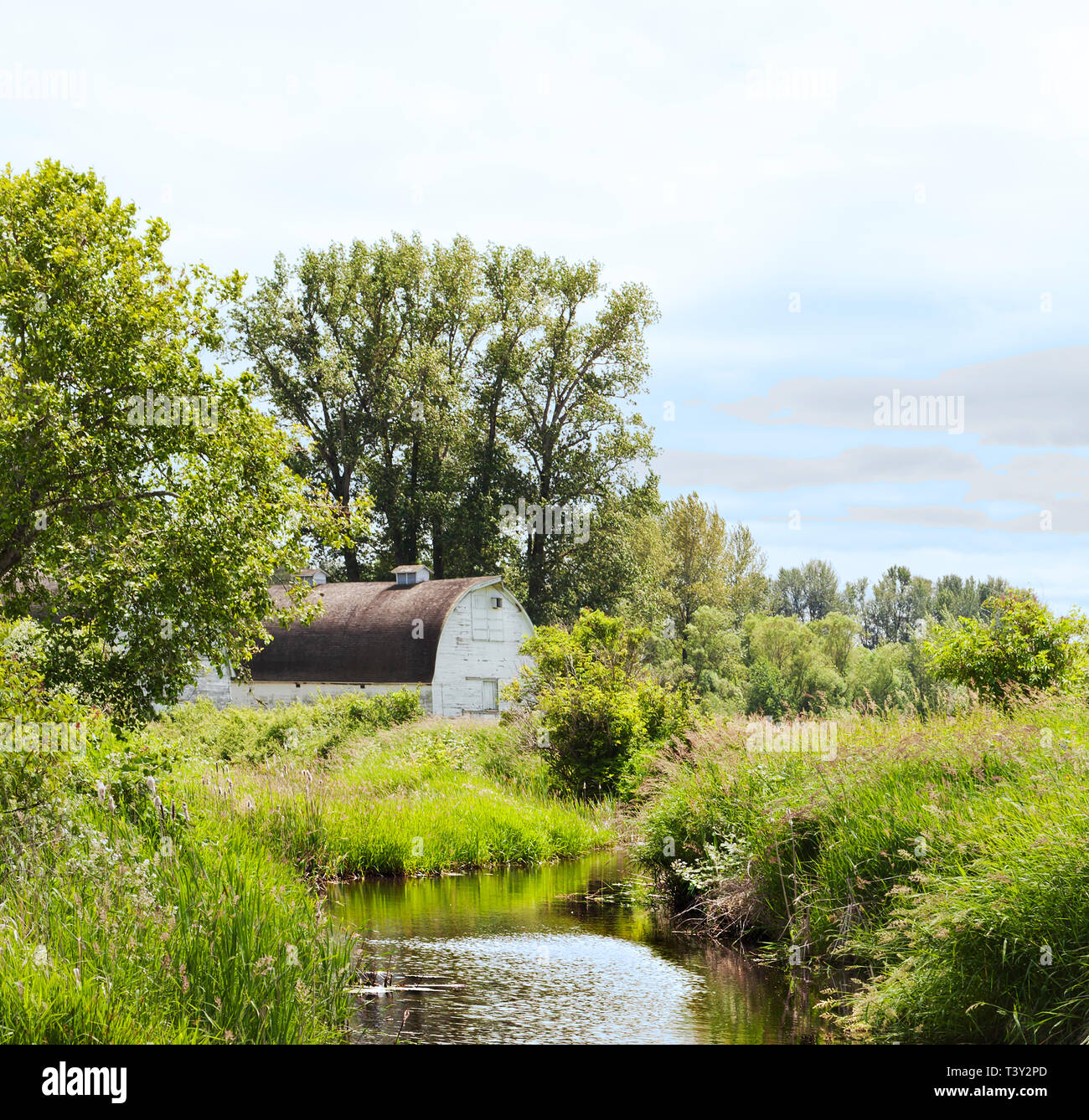 Il Fosso di Irrigazione e vecchio fienile, Olympia, Washington, Stati Uniti Foto Stock