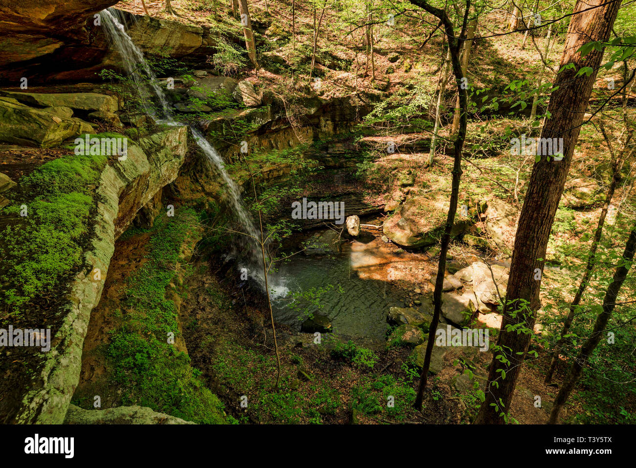 La prima goccia di canna Creek Waterfall è breve rispetto a quello che lo segue. Non vi è spazio sufficiente per una persona a mettersi dietro le cascate. Foto Stock