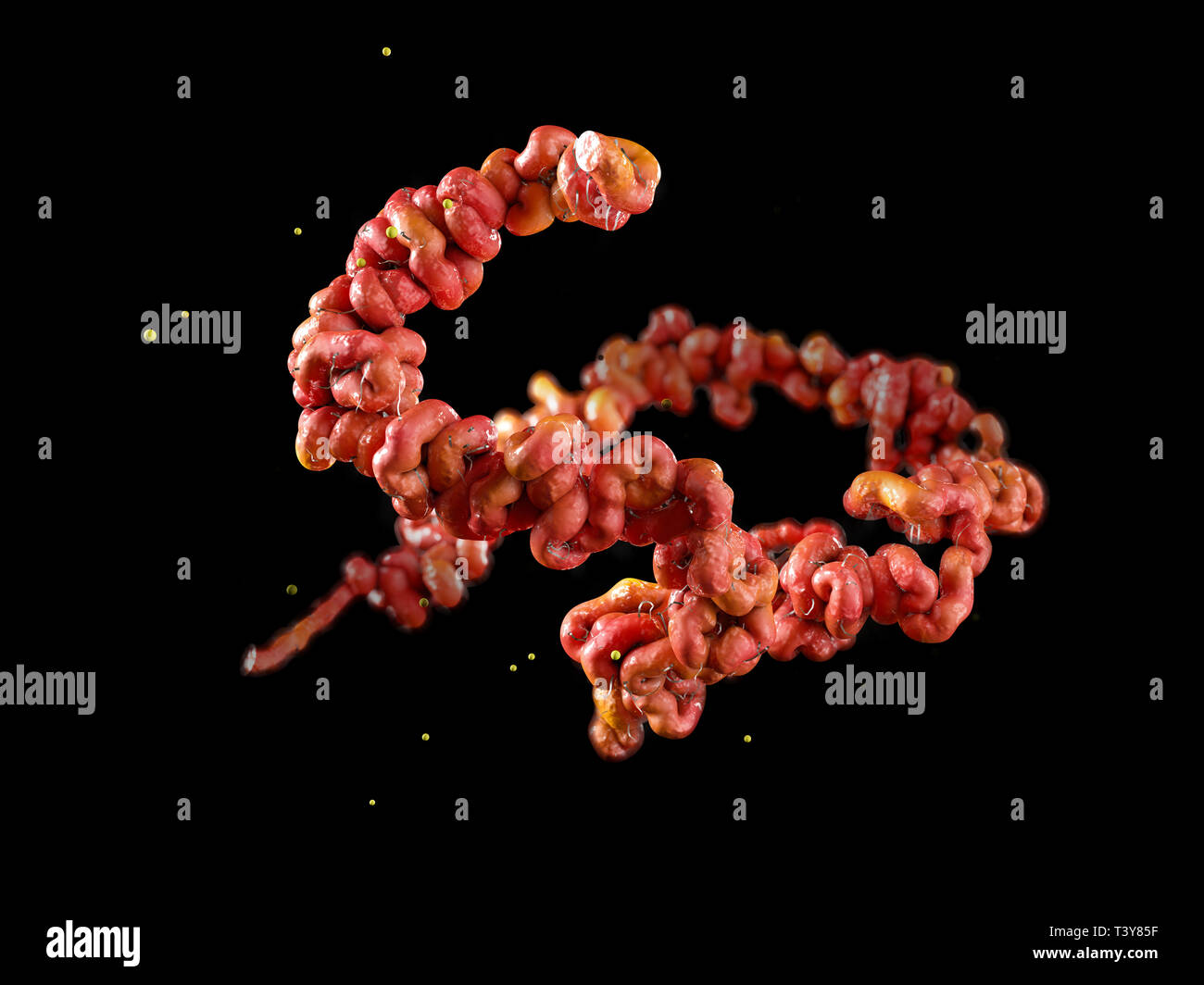 La malattia di Lyme batteri isolati nero 3D'illustrazione. Foto Stock