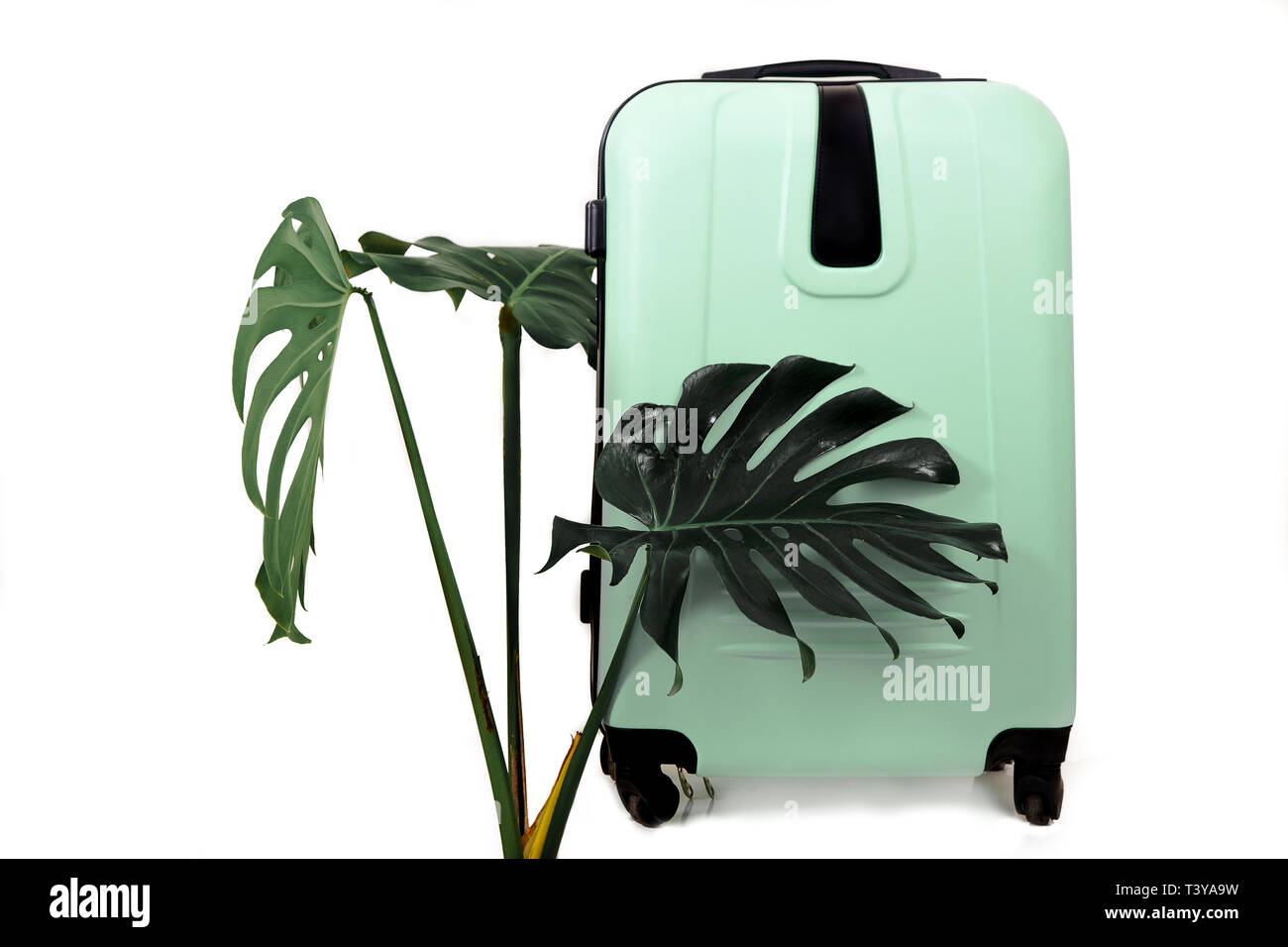 Verde di viaggio valigia su sfondo bianco con verde foglie tropicali. Un impianto di monster con un grande bagaglio borsa da viaggio. Foto Stock