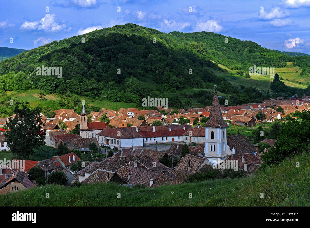Il villaggio Valea Viilor, Romania, fondata dalla Transilvania sassoni Foto Stock