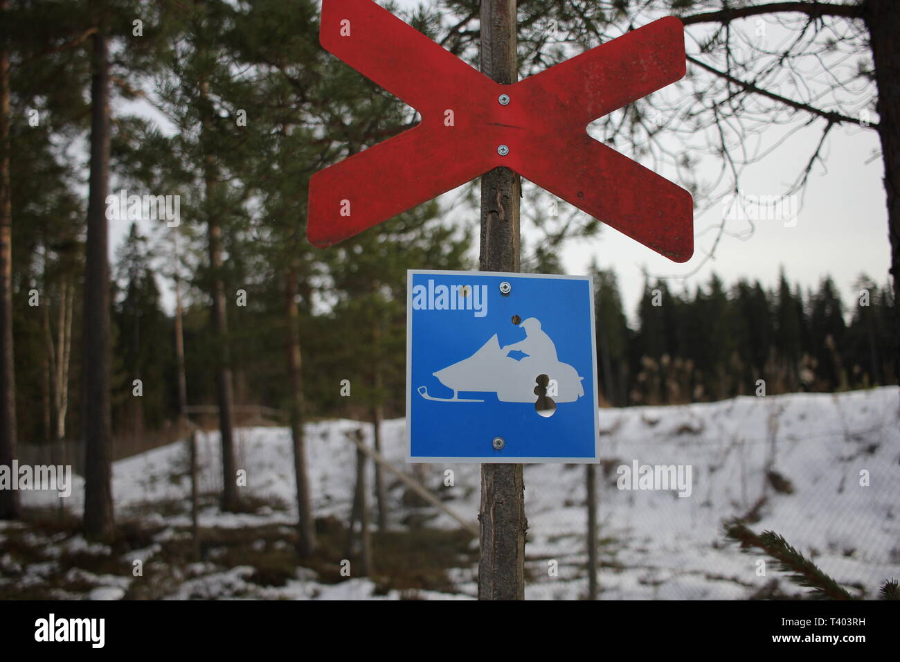 No scooter neve segno di guida in una foresta in inverno Foto Stock