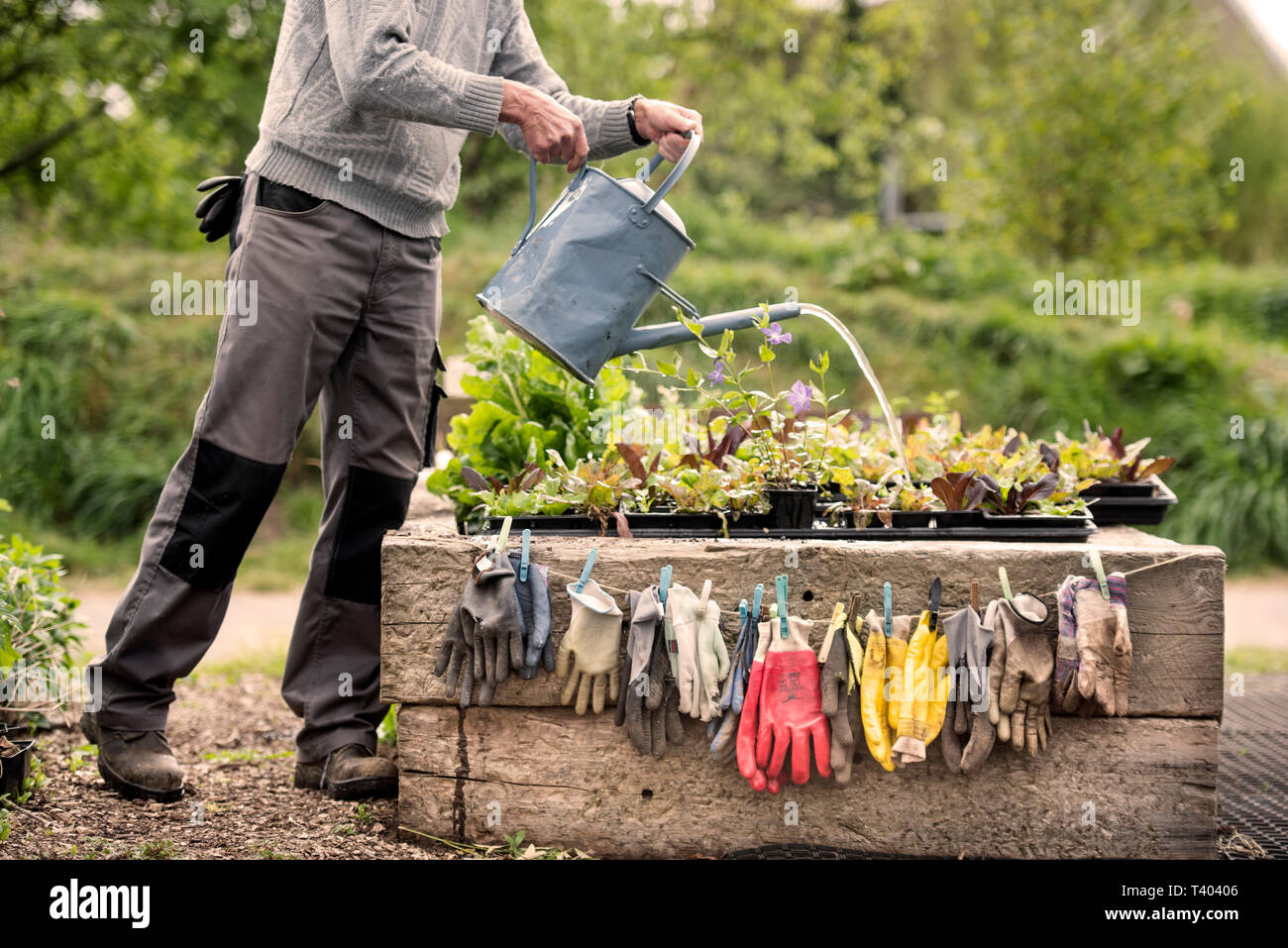 Guanti da giardinaggio essiccamento a una comunità giardino a Bristol REGNO UNITO Foto Stock