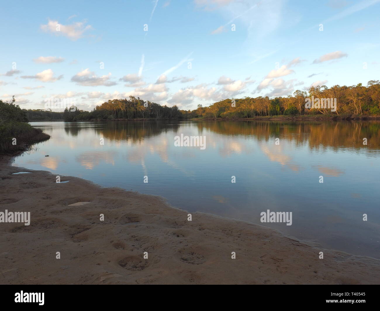 Riflessi di alberi in acqua. Alberi che crescono sulle rive del fiume sono riflessi nell'acqua. Foto Stock