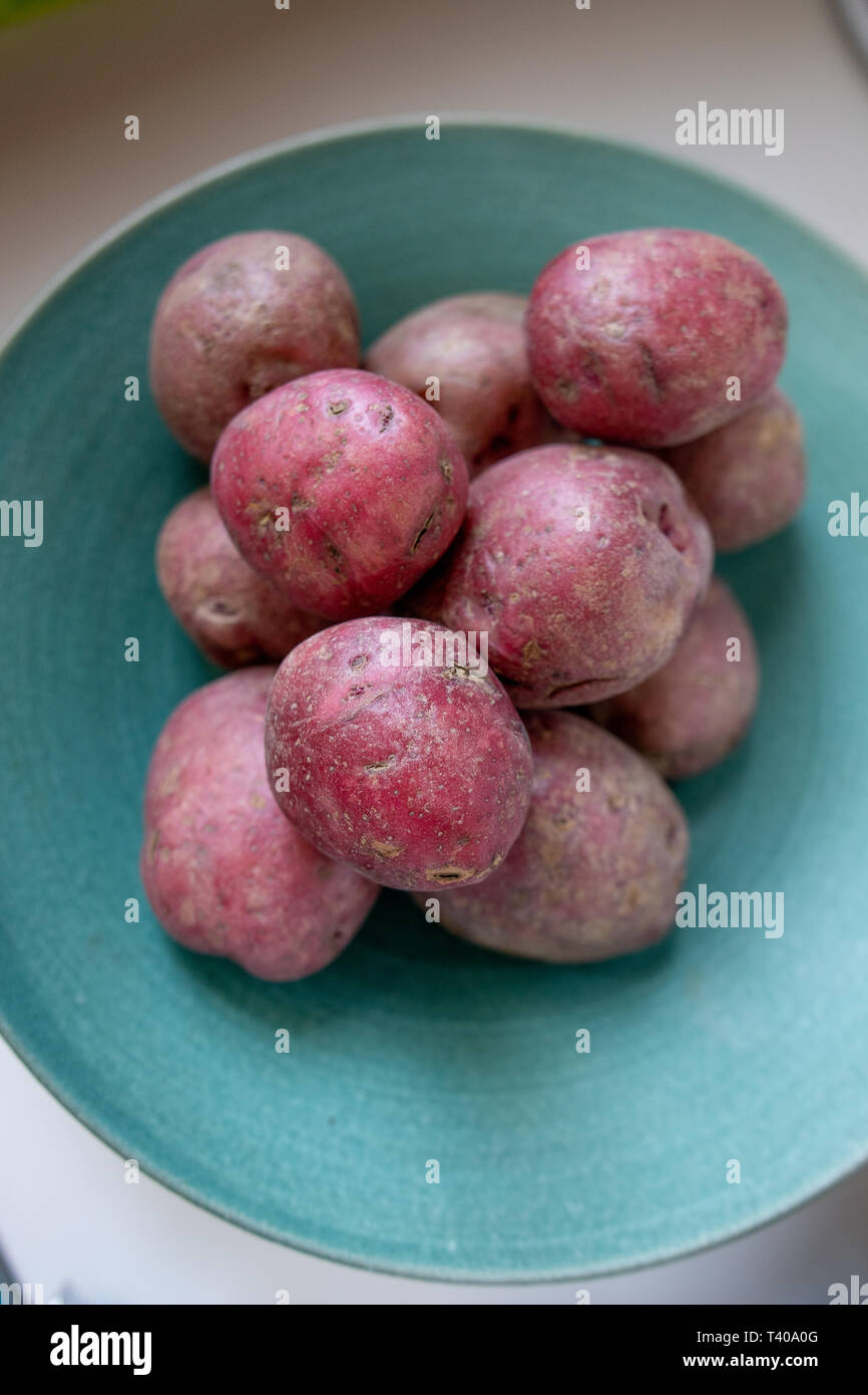 Pelle rossa le patate in una ciotola Foto Stock