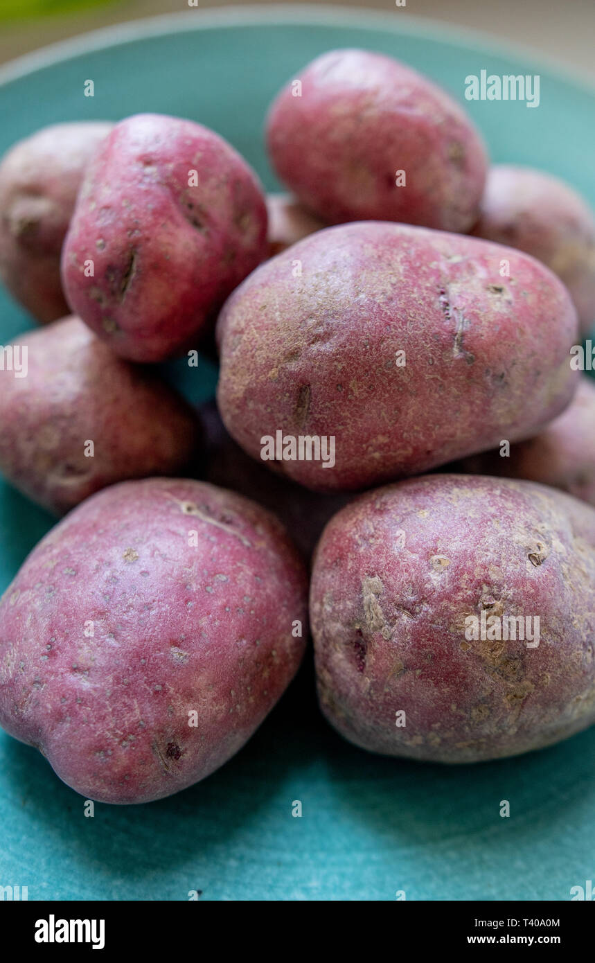 Pelle rossa le patate in una ciotola Foto Stock