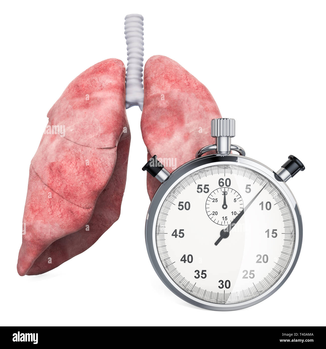 Polmoni umani con il cronometro. Primo soccorso e trattamento dei polmoni concetto, 3D rendering isolati su sfondo bianco Foto Stock