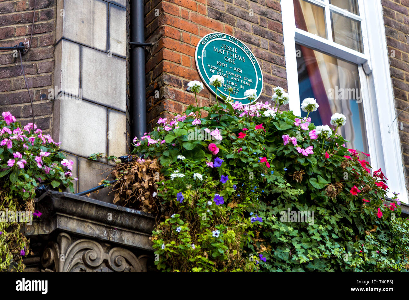 Placca verde per Jessie Matthews OBE 1907-1981 commedia musicale star dello stadio e film è nato a Berwick Street, Londra, Regno Unito Foto Stock