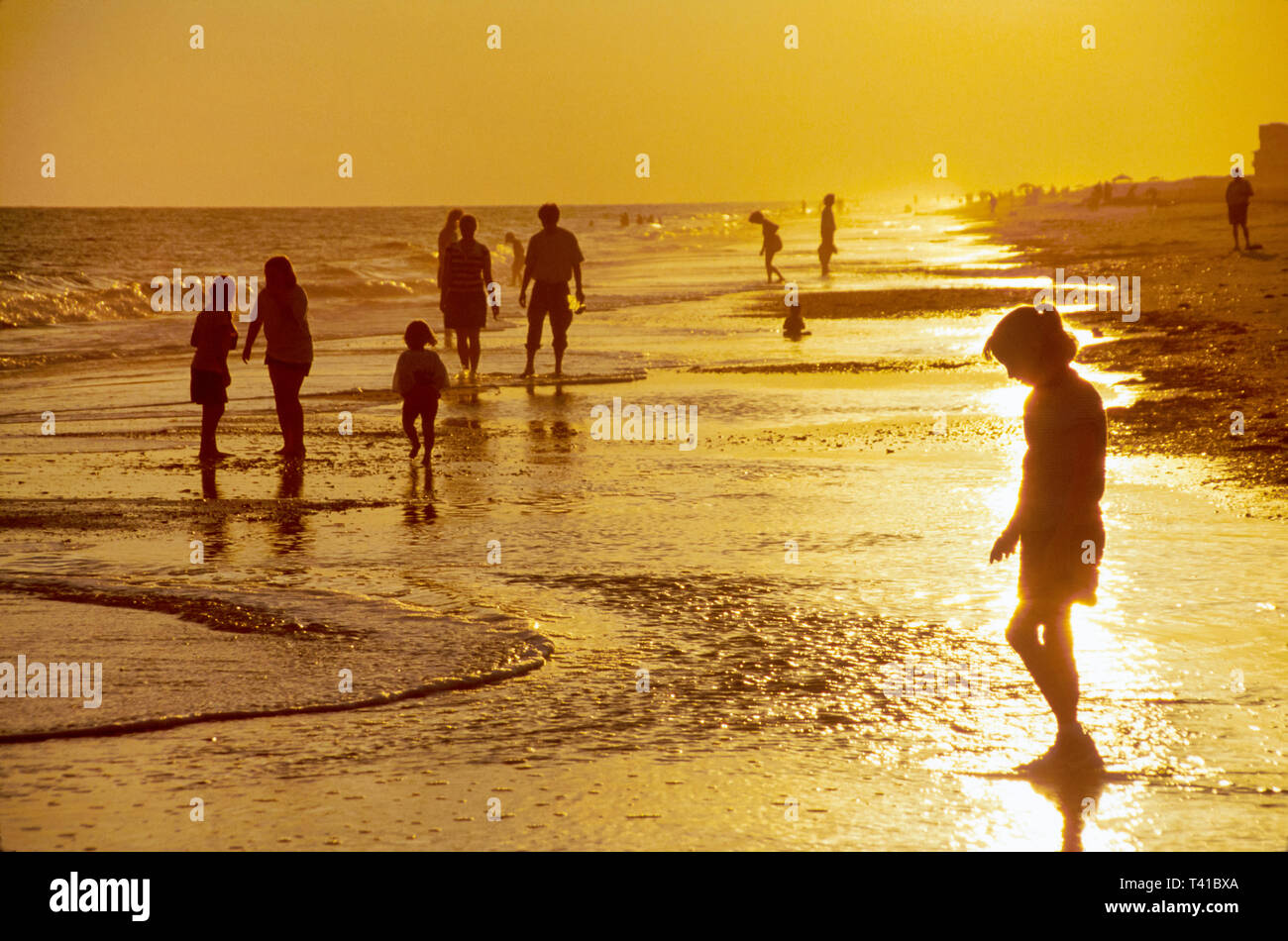 Alabama Gulf Coast Baldwin County Gulf Shores Shell cacciatori di spiagge, tramonto surf Golfo del Messico costa, Foto Stock