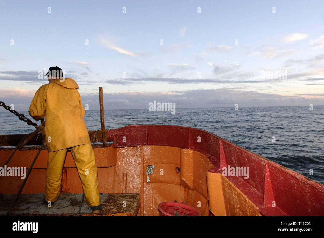 A bordo di un peschereccio in mare d'Irlanda. 4-uomo squadra lavora su 1 delle ultime navi per la pesca a strascico. Fleetwood, nel Lancashire. 23/10/2006 Foto Stock